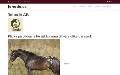 johodo.se snapshot