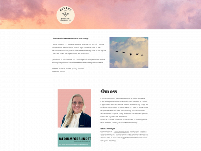 thedivine.se snapshot