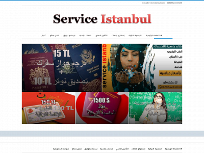serviceistanbul.com snapshot