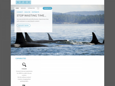apex-files.com snapshot
