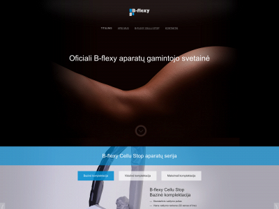 b-flexy.lt snapshot