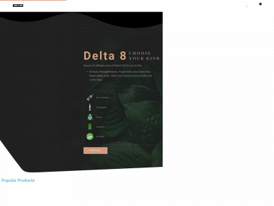 idelta8.com snapshot