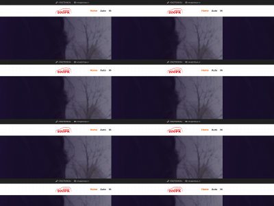 200pk.nl snapshot