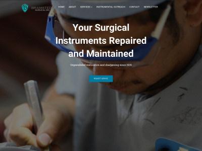 bramstedtsurgical.com snapshot