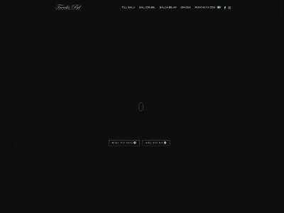 treviksbil.se snapshot