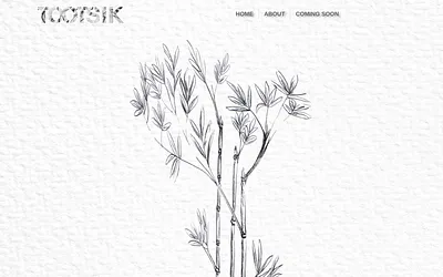 tootsik.com snapshot