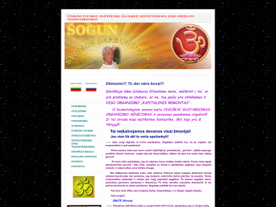 sogun.lt snapshot