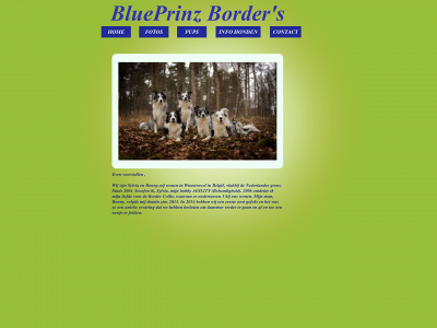 blueprinz.be snapshot