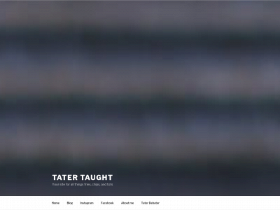 tatertaught.com snapshot