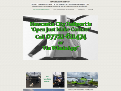 newcastlecityheliport.com snapshot