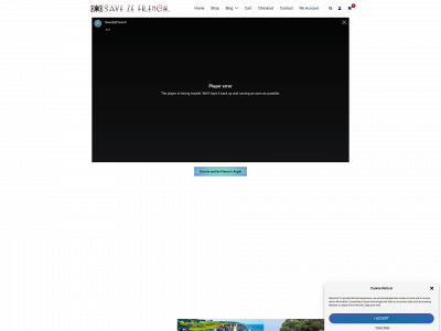savezefrench.com snapshot