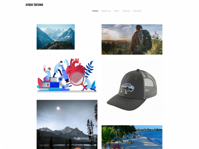 trevinoayden.weebly.com snapshot