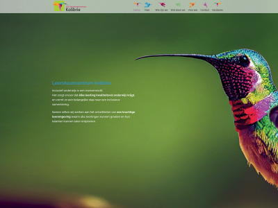 lsc-kolibrie.be snapshot