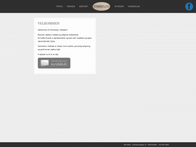 tommelise-holbaek.dk snapshot