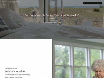 snseniorconcierge.com snapshot