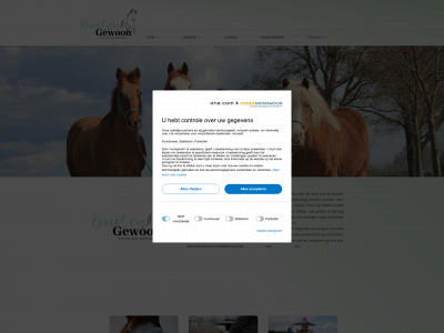 buitengewoon-lerenmetpaarden.be snapshot