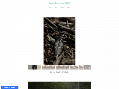 beautyfromashs.weebly.com snapshot