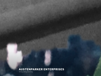 austenparkerenterprises.com snapshot