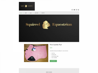squirrelequestrian.org snapshot