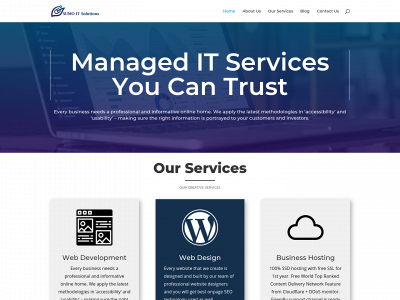 sumoitsolutions.com snapshot