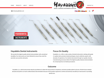 hayabbhsllc.com snapshot