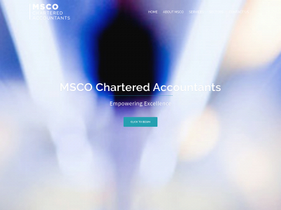 mscoaccountants.co.uk snapshot