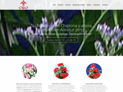 www.ciroflor.net snapshot