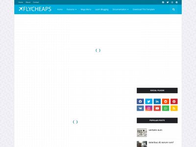 flycheaps.com snapshot