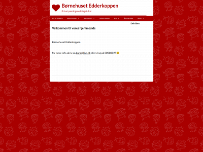 boernehusetedderkoppen.dk snapshot