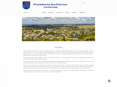 vieksniukc.lt snapshot