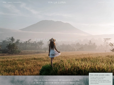 vialaluna.com snapshot