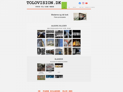tolovision.dk snapshot