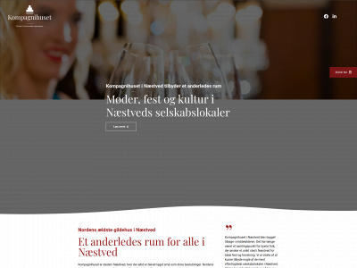 n-n-s.dk snapshot