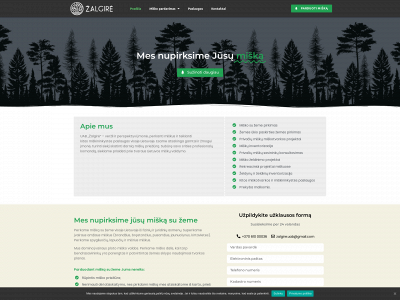 zalgire.lt snapshot