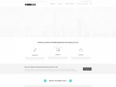 hornlense.com snapshot