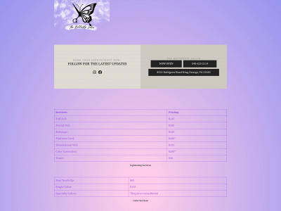 thebutterflysalon.com snapshot