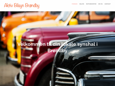 aktivbilsyn.dk snapshot