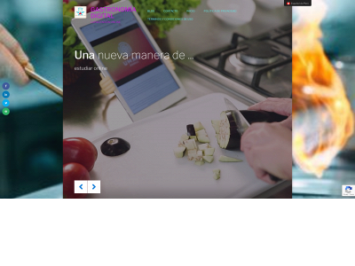 fiestaconcesionariaconsultores.com snapshot