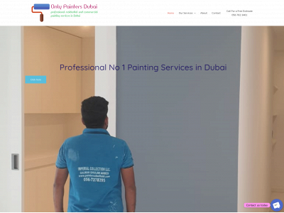 onlypaintersdubai.com snapshot