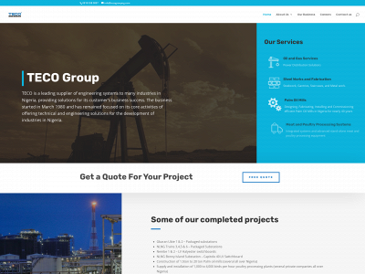 tecogroupng.com snapshot