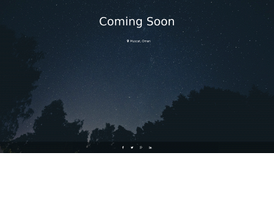 exflexpro.com snapshot