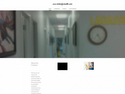 www.stsdisinfectantllc.com snapshot