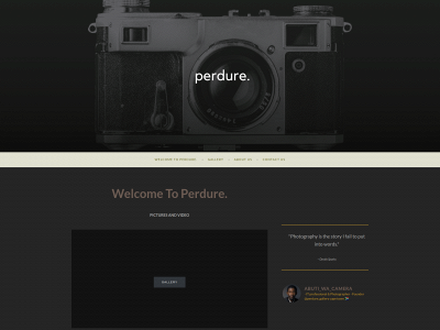 perdure.co.za snapshot