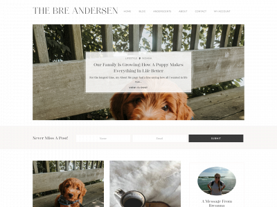 thebreandersen.com snapshot