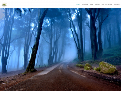 hilotraveler.com snapshot