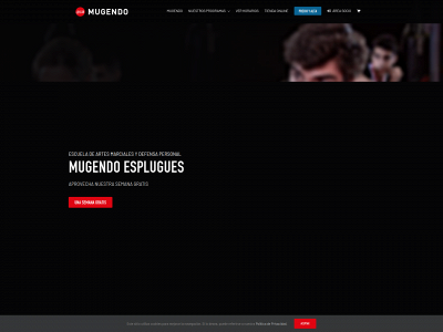 artesmarcialesbarcelona.es snapshot