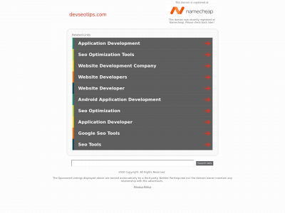 devseotips.com snapshot