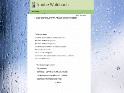 traube-waldbach.de snapshot