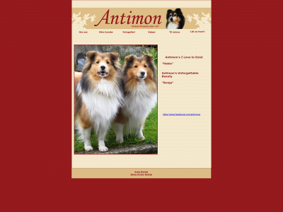 antimon.no snapshot