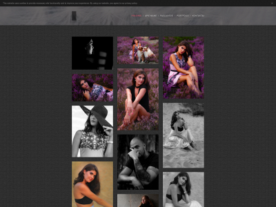 nijolephotography.lt snapshot